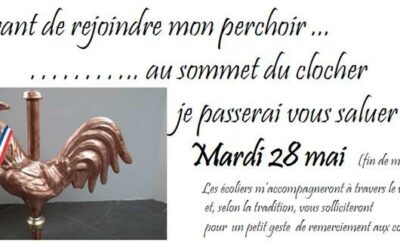 Avant de rejoindre mon perchoir…